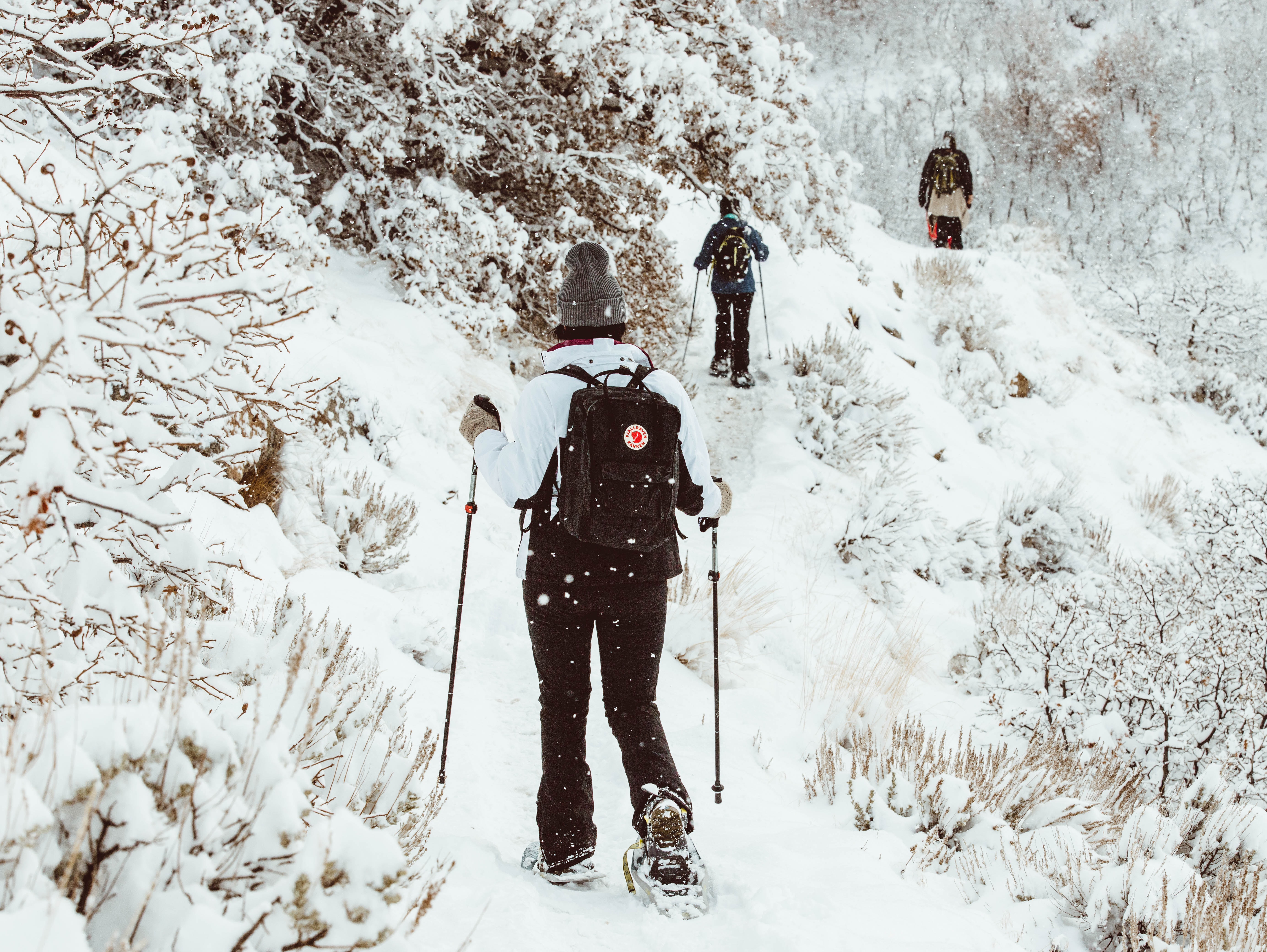 taylor-brandon-DzvuUkY75KM-unsplash