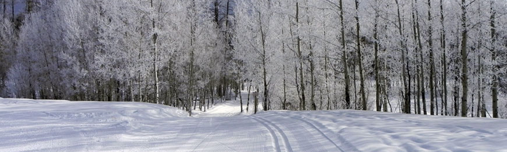 Nordic-Header-Trail